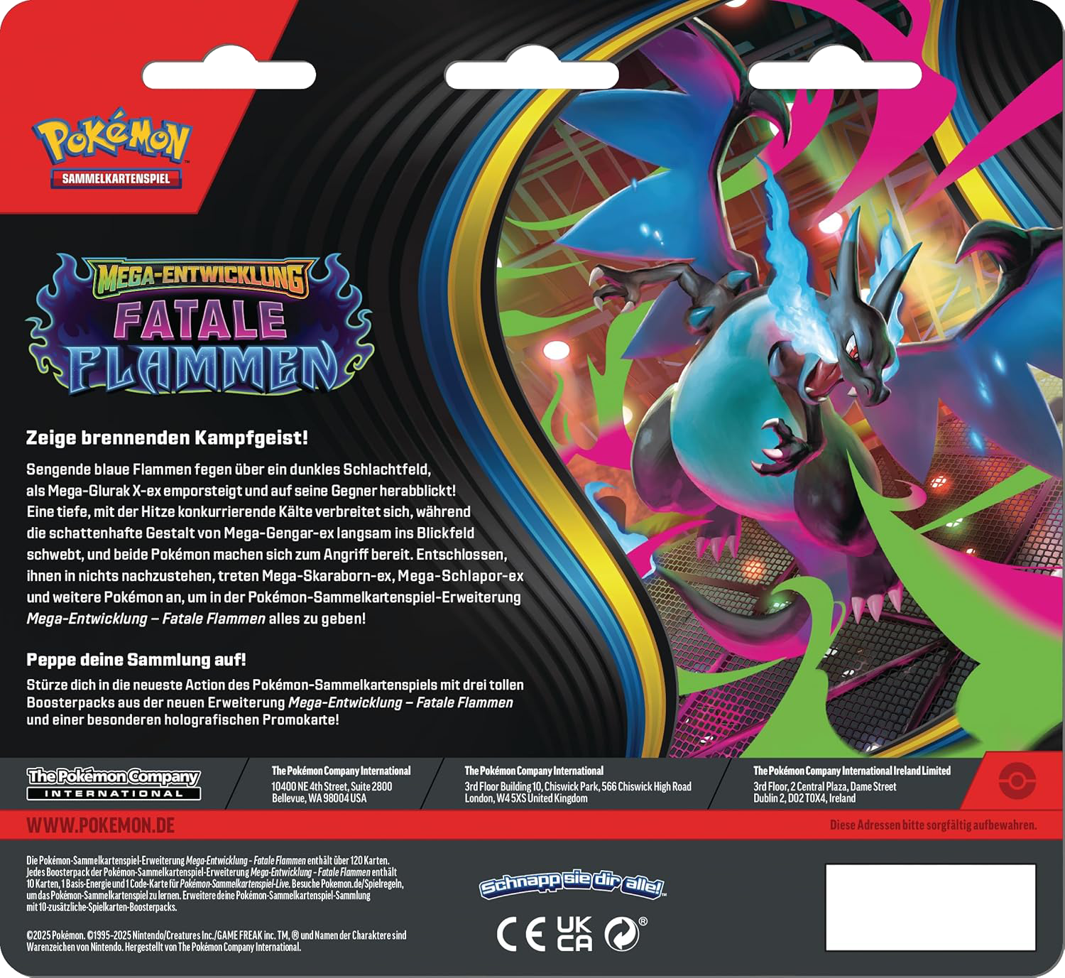 sorgfältig aufbewahren Pokémon TCG - Fatale Flammen